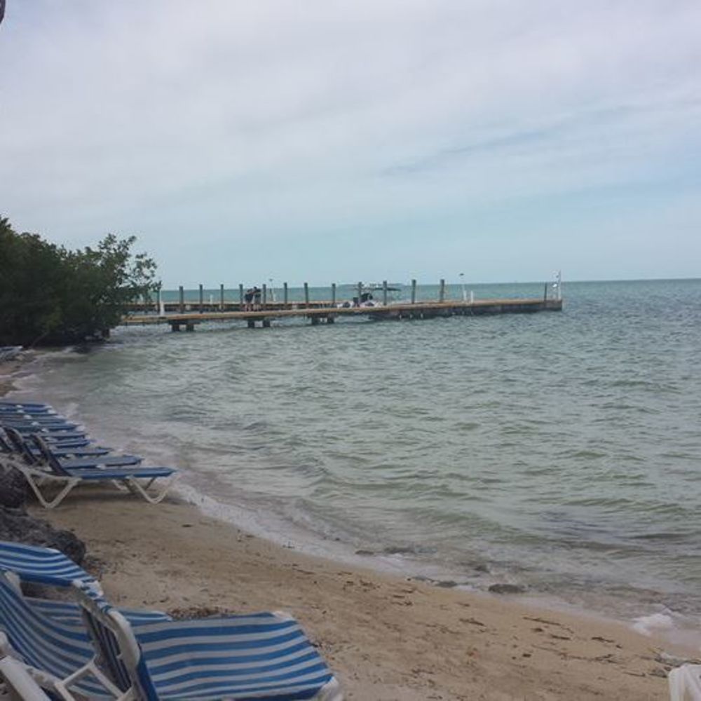 Meet your Posher, Erlande